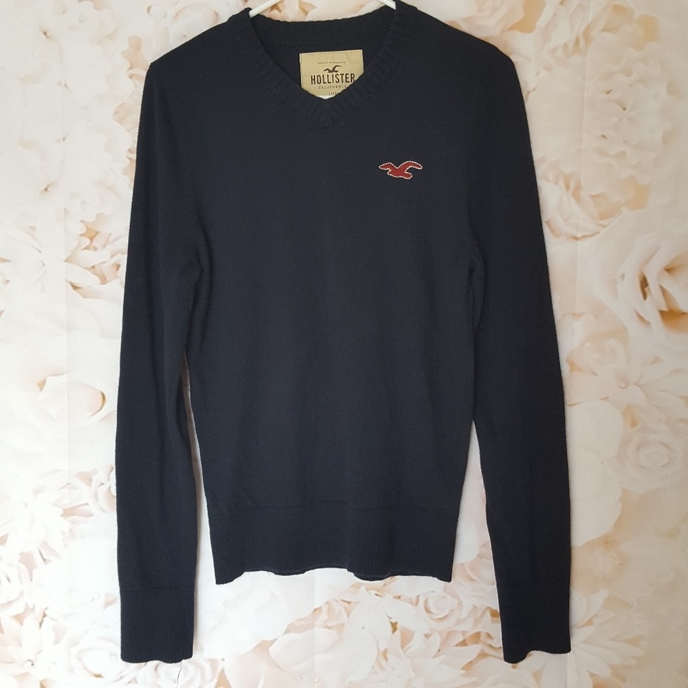 HOLLISTER V-Neck Navy Sweater Seagull Logo